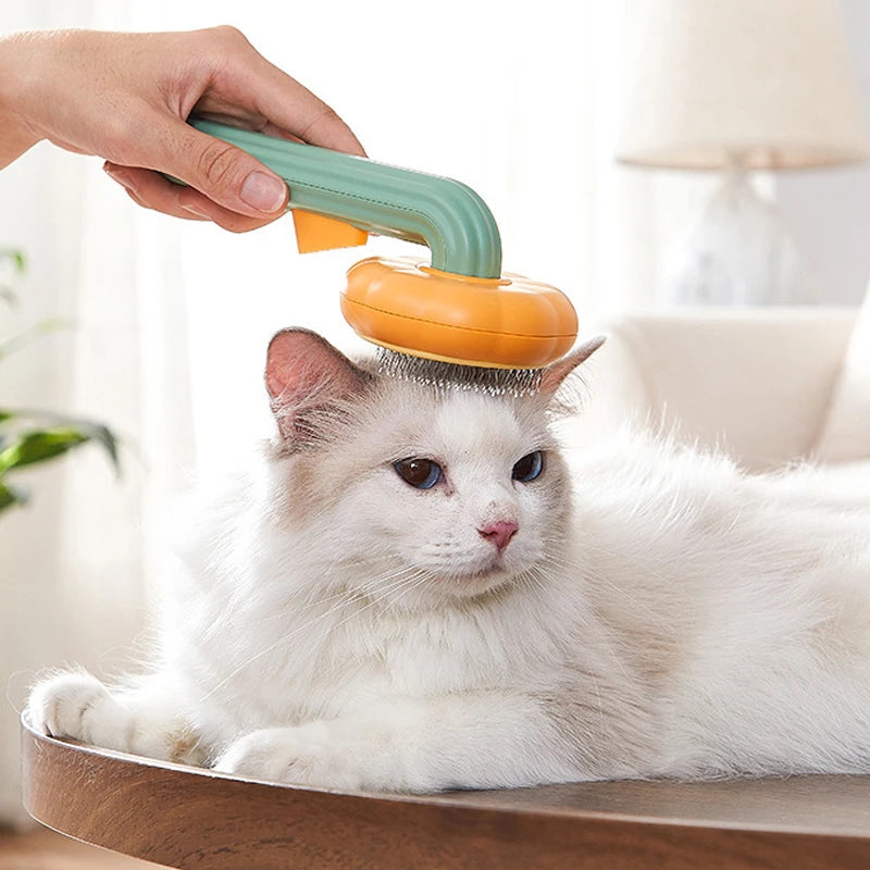 Cat brush